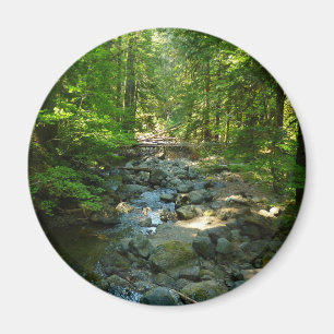 Laughingwater Creek im Mount Rainier National Park Magnet