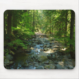 Laughingwater Creek im Mount Rainier National Park Mousepad