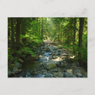 Laughingwater Creek im Mount Rainier National Park Postkarte