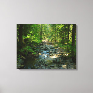 Laughingwater Crew am Monte Rainier Nationalpark Leinwanddruck