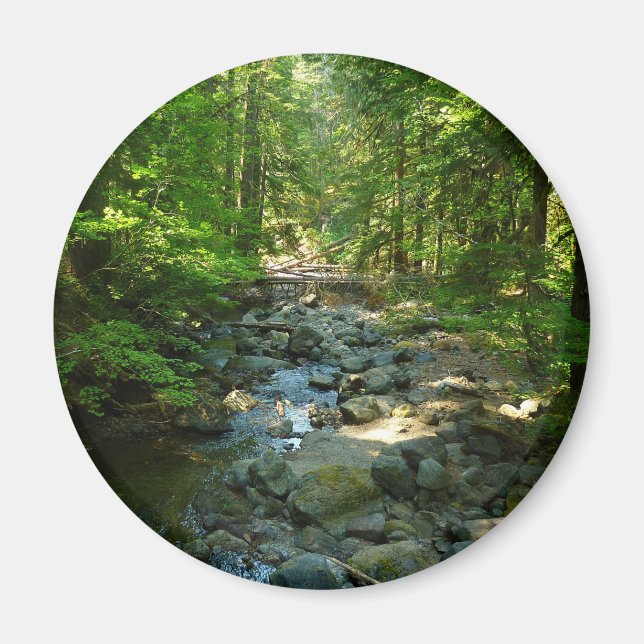 Laughingwater Crew am Monte Rainier Nationalpark Magnet (Vorne)