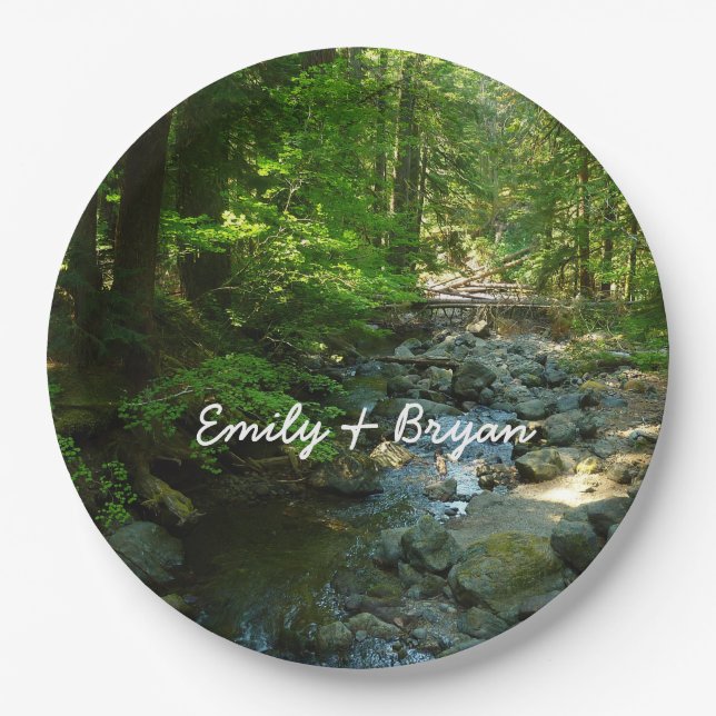 Laughingwater Crew am Monte Rainier Nationalpark Pappteller (Vorderseite)