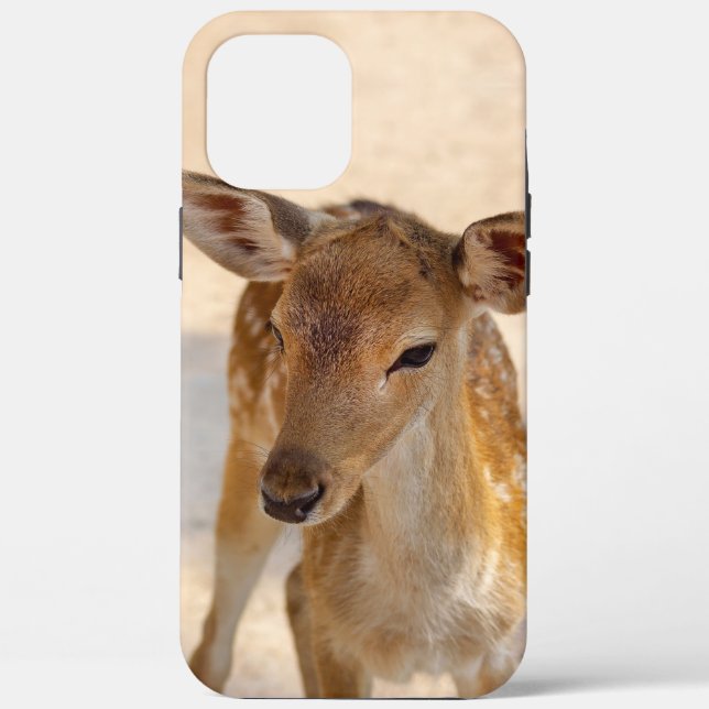Launenhafte Waldhirschfotografie Case-Mate iPhone Hülle (Rückseite)