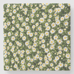 Launische Daisy-Wiesen-Getränkeuntersetzer-Set Steinuntersetzer