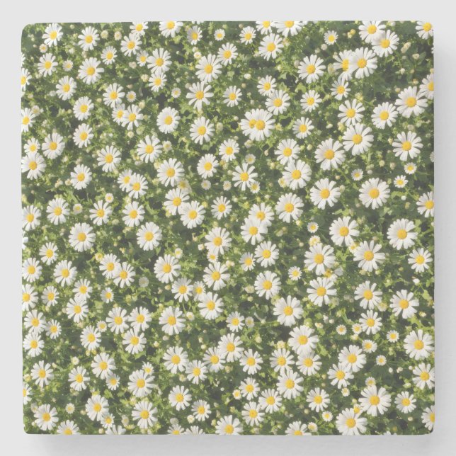 Launische Daisy-Wiesen-Getränkeuntersetzer-Set Steinuntersetzer (Vorderseite)