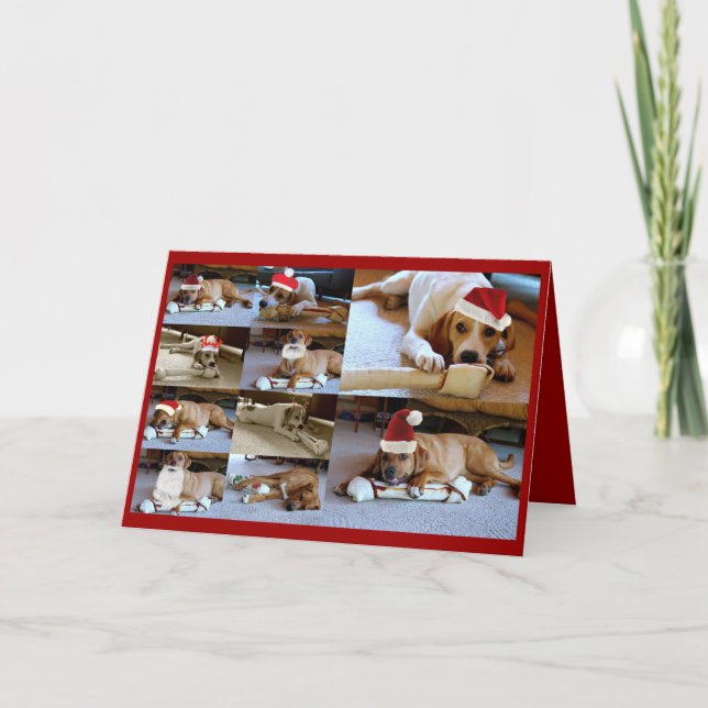 Laura-Hunde Feiertagskarte (Vorderseite)