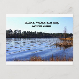 LAURA S. WALKER STAAT PARK - Waycross, Georgia Postkarte