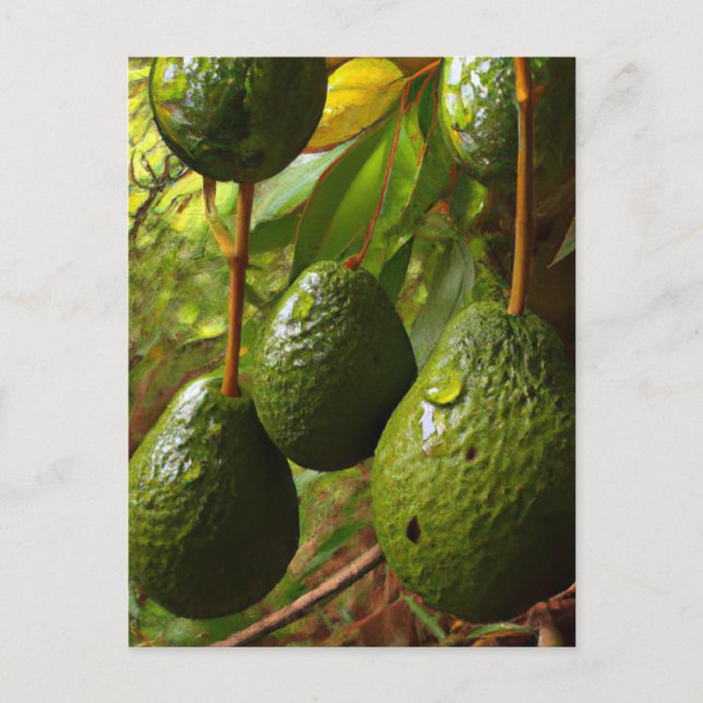 Laurales Postkarte (Vorderseite)