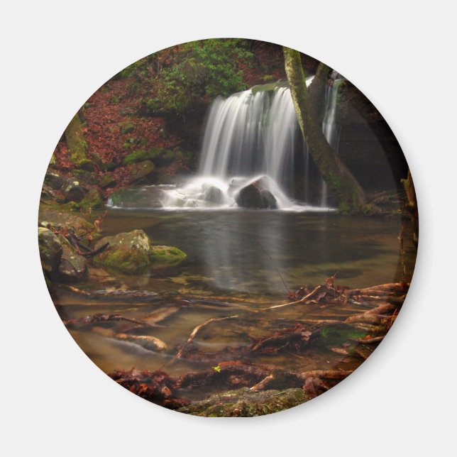 Laurel Falls Magnet (Vorne)