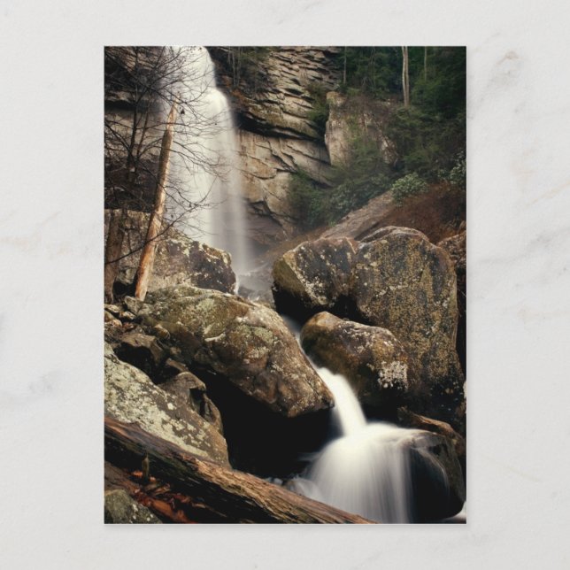 Laurel Falls Postkarte (Vorderseite)
