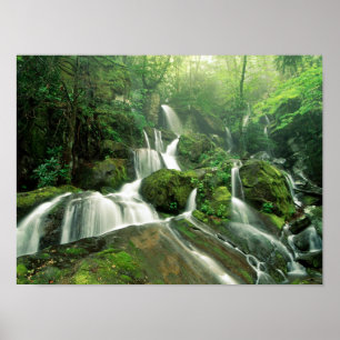 Laurel Falls, Tennessee Poster