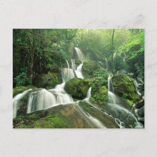 Laurel Falls, Tennessee Postkarte