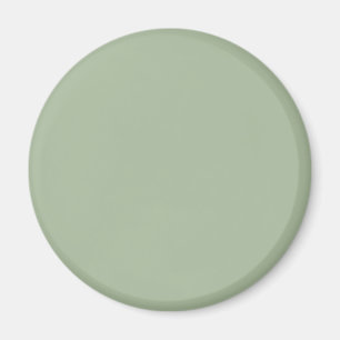 Laurel Green Solid Color Magnet