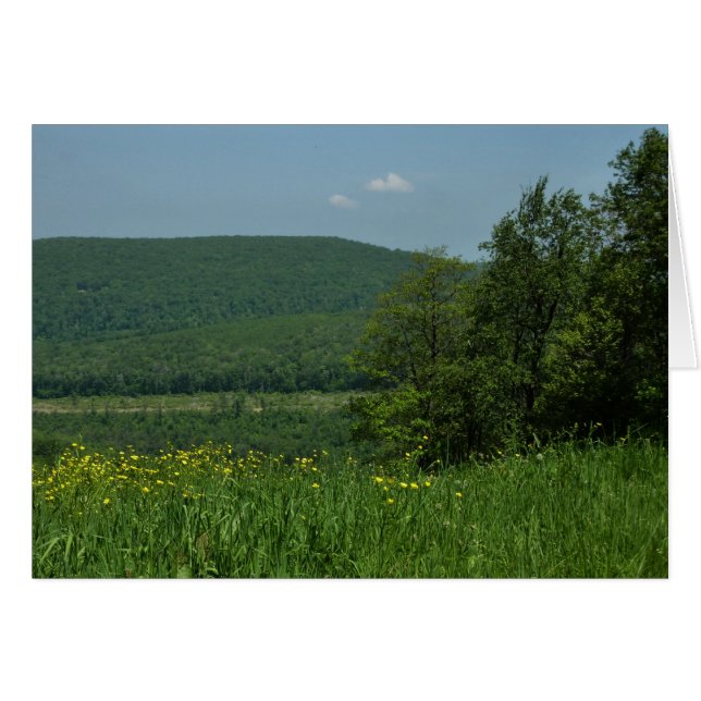 Laurel Highlands Pennsylvania Sommerfotografie (Vorderseite (Horizontal))