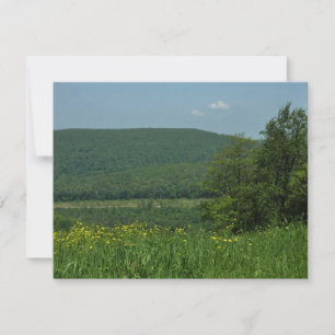 Laurel Highlands Pennsylvania Sommerfotografie