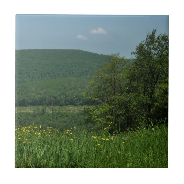 Laurel Highlands Pennsylvania Sommerfotografie Fliese (Vorderseite)