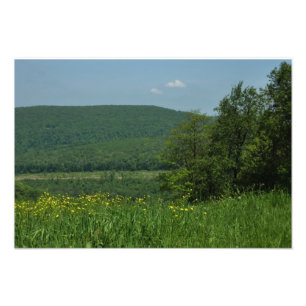 Laurel Highlands Pennsylvania Sommerfotografie Fotodruck