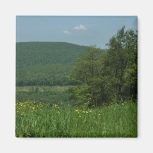 Laurel Highlands Pennsylvania Sommerfotografie Magnet