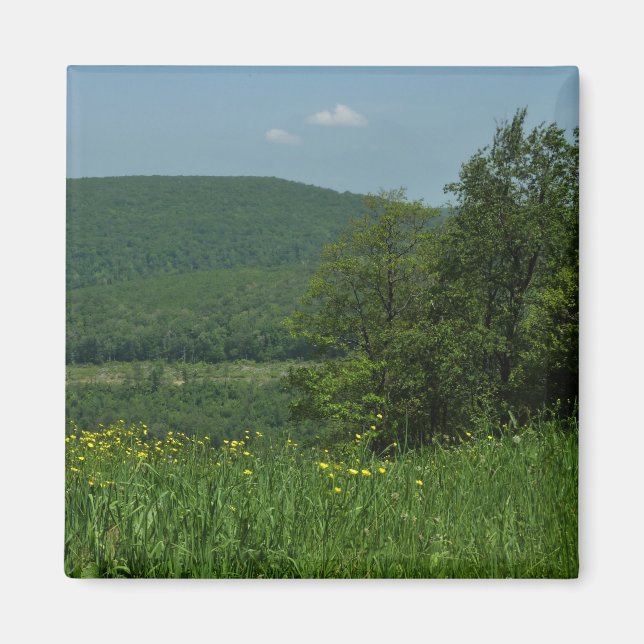 Laurel Highlands Pennsylvania Sommerfotografie Magnet (Vorne)
