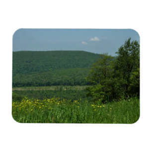 Laurel Highlands Pennsylvania Sommerfotografie Magnet