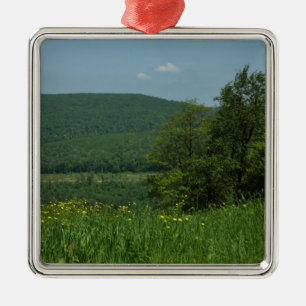 Laurel Highlands Pennsylvania Sommerfotografie Ornament Aus Metall