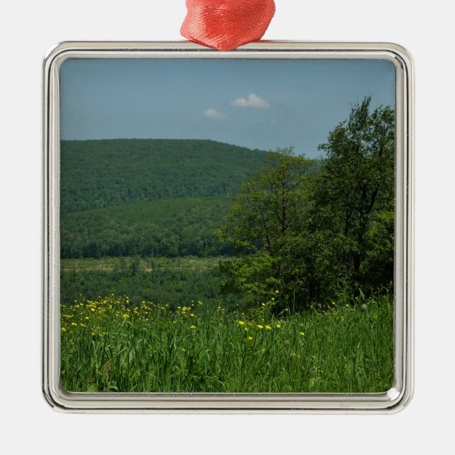 Laurel Highlands Pennsylvania Sommerfotografie Ornament Aus Metall (Vorne)