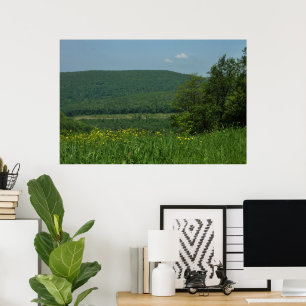 Laurel Highlands Pennsylvania Sommerfotografie Poster