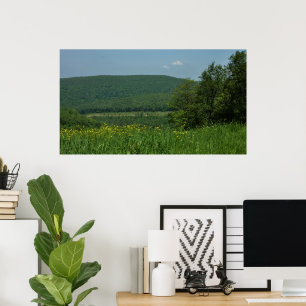 Laurel Highlands Pennsylvania Sommerfotografie Poster