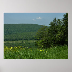 Laurel Highlands Pennsylvania Sommerfotografie Poster