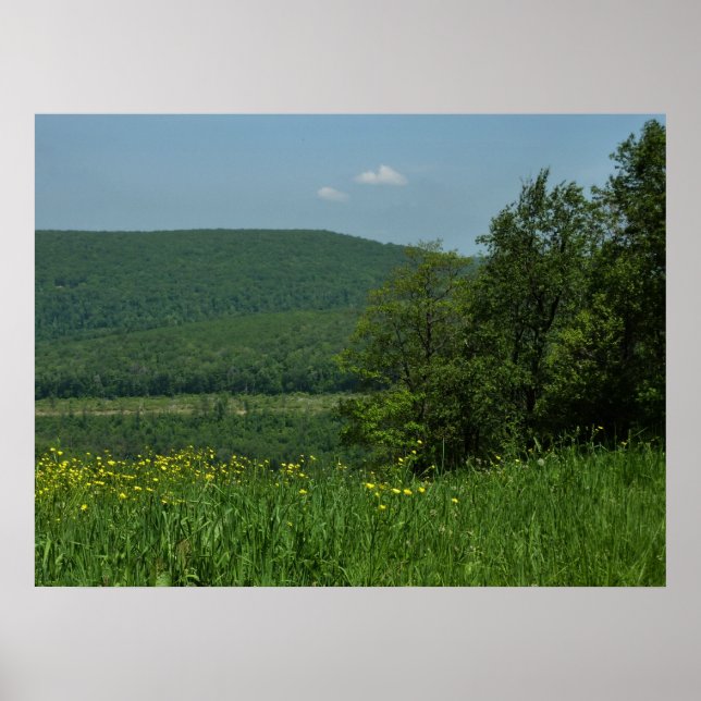 Laurel Highlands Pennsylvania Sommerfotografie Poster (Vorne)