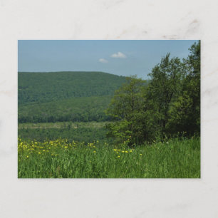 Laurel Highlands Pennsylvania Sommerfotografie Postkarte
