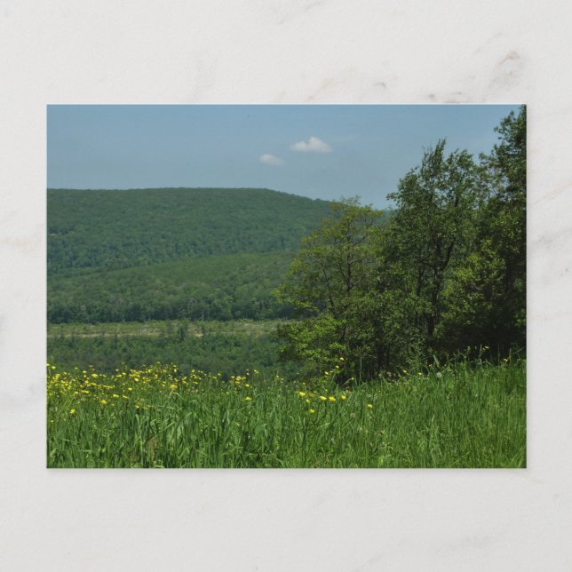 Laurel Highlands Pennsylvania Sommerfotografie Postkarte (Vorderseite)