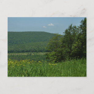 Laurel Highlands Pennsylvania Sommerfotografie Postkarte