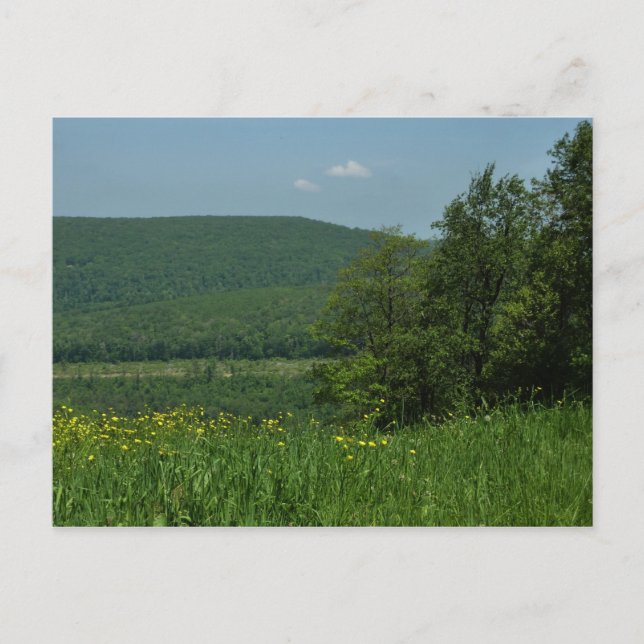 Laurel Highlands Pennsylvania Sommerfotografie Postkarte (Vorderseite)