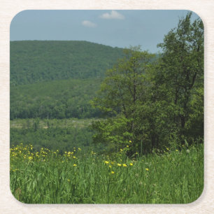 Laurel Highlands Pennsylvania Sommerfotografie Rechteckiger Pappuntersetzer