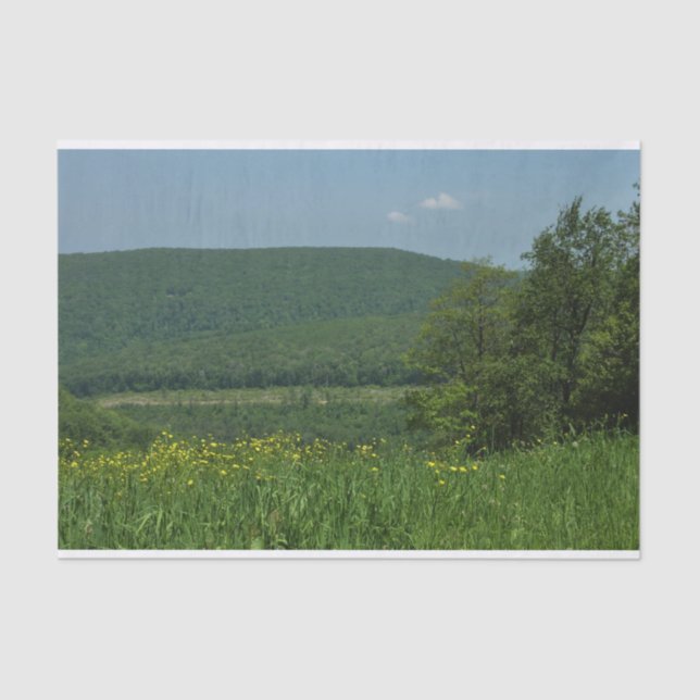 Laurel Highlands Pennsylvania Sommerfotografie Seidenpapier (Vorderseite)