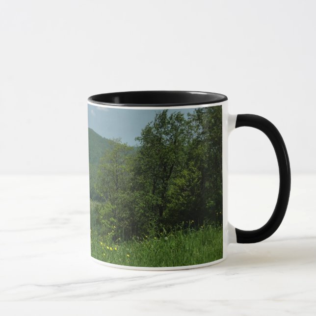 Laurel Highlands Pennsylvania Sommerfotografie Tasse (Rechts)