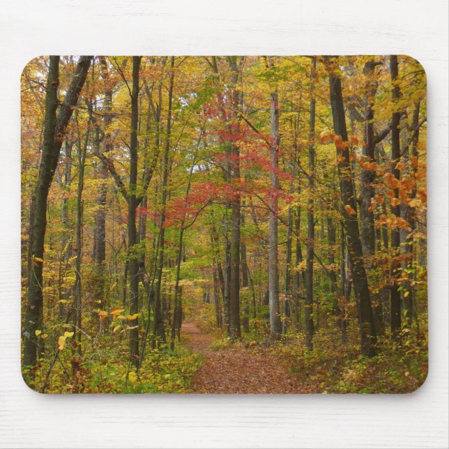 Laurel Hill Trail im Herbst Mousepad (Vorne)