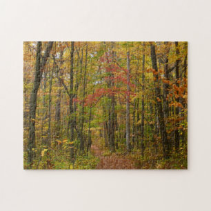 Laurel Hill Trail im Herbst Puzzle