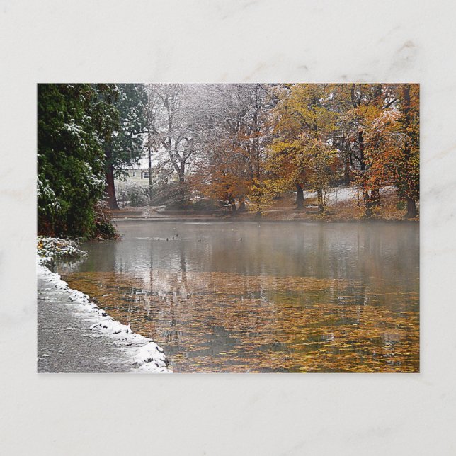 Laurelhurst Pond Postcard Postkarte (Vorderseite)