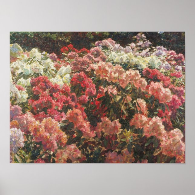 Laurits Tuxen - Rhododendron im Garten von Tuxen Poster (Vorne)