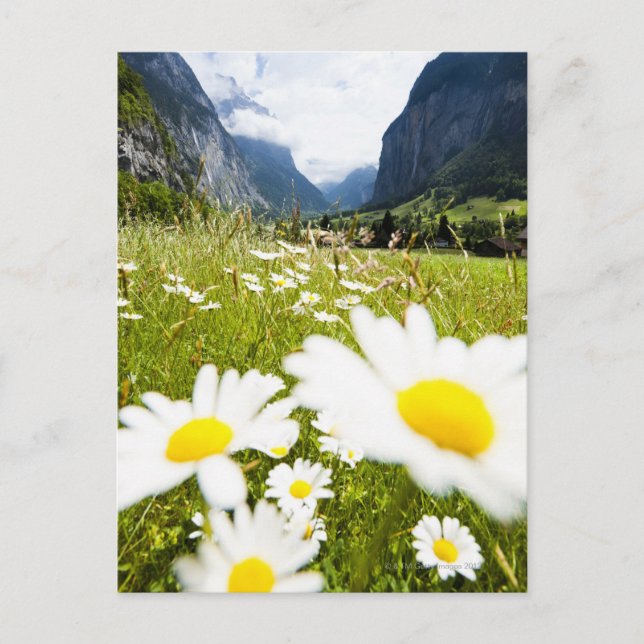 Lauterbrunnen, Schweiz Postkarte (Vorderseite)