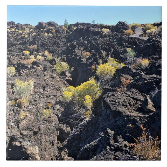 Lava Butte Trail, OR Fliese (Vorderseite)