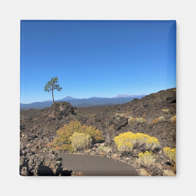 Lava Butte Trail, Oregon Magnet (Vorne)