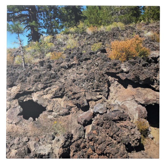 Lava Cast Forest, OR Fliese (Vorderseite)