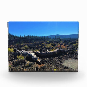 Lava Cast Forest, OR Fotoblock