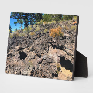 Lava Cast Forest, OR Fotoplatte