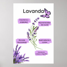 Lavanda y sus ießos en español poster
