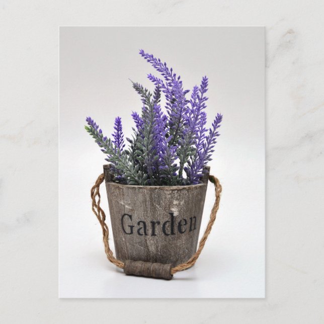 Lavander Postkarte (Vorderseite)