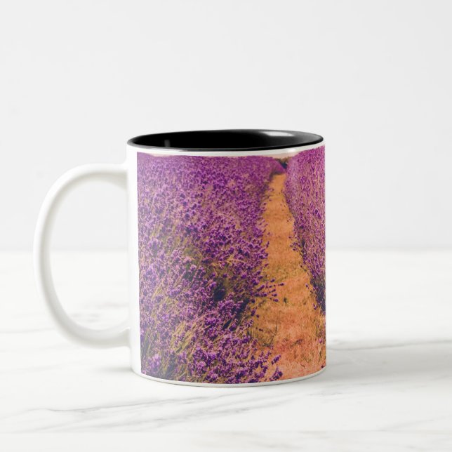 Lavander Zweifarbige Tasse (Links)